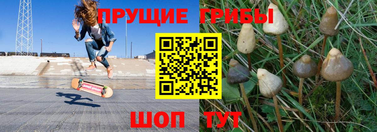 что такое наркотик  Галлюциногенные грибы GOLDEN TEACHER  Вход с VPN  Изобильный 